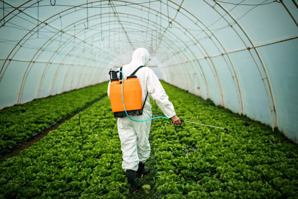 Best Affordable Pest Control Services  in South Pasadena, FL