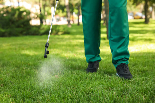 Best Pest Control Cost  in South Pasadena, FL