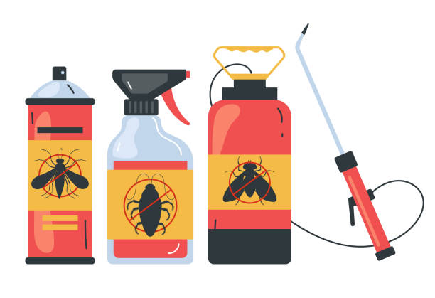 Best Exterminator Services  in South Pasadena, FL