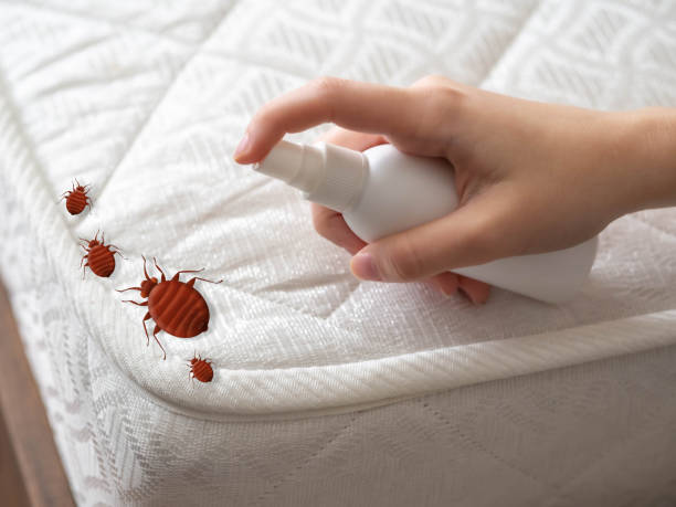 Best Commercial Pest Control Services  in South Pasadena, FL