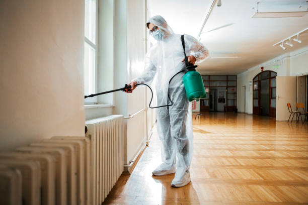 Reliable South Pasadena, FL Pest Control Solutions